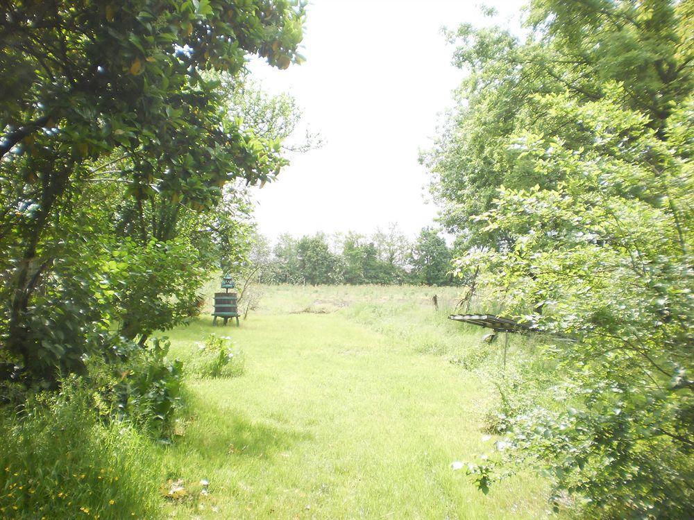 Green Fields Padua Exterior foto