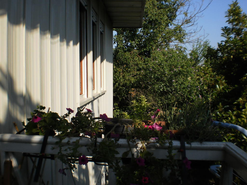 Green Fields Padua Exterior foto