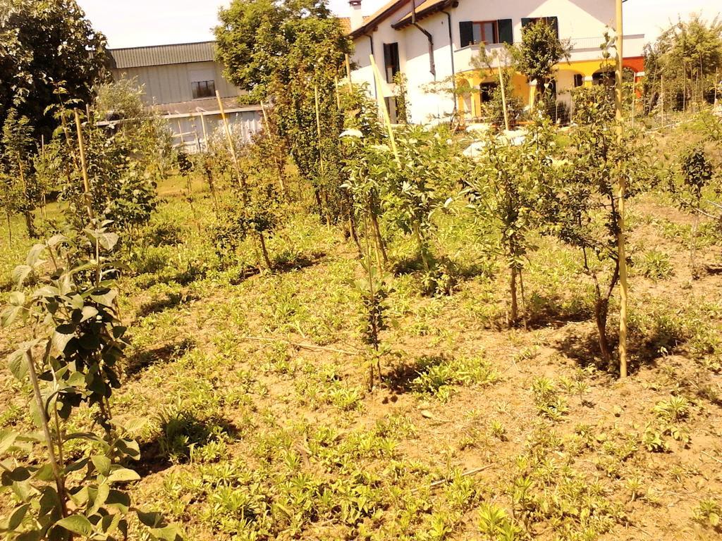 Green Fields Padua Exterior foto