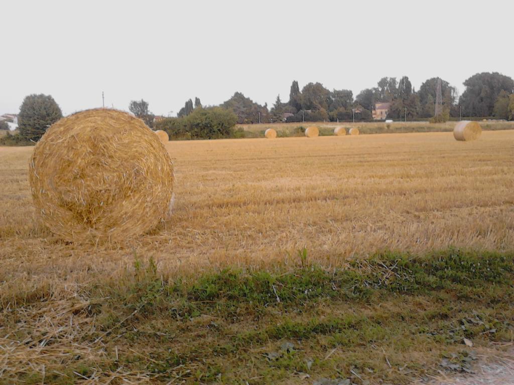 Green Fields Padua Exterior foto