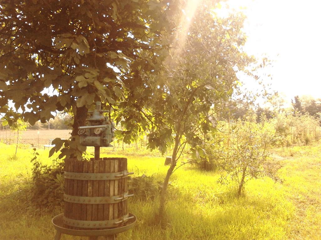Green Fields Padua Exterior foto