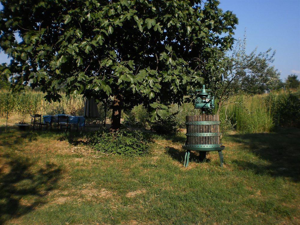 Green Fields Padua Exterior foto